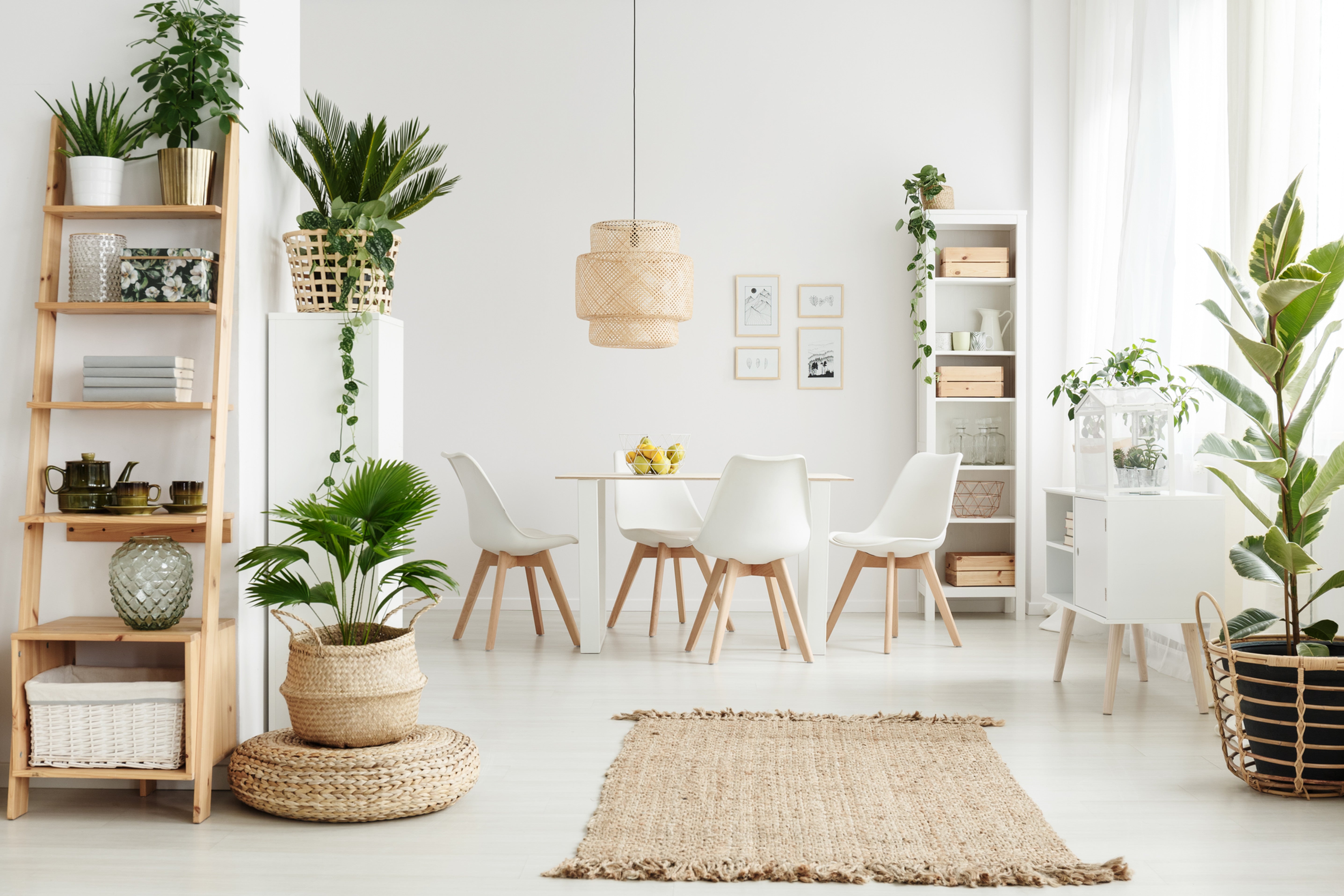 Dining Room Furniture