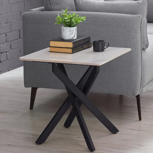 Small side table with books and a plant next to a gray sofa.