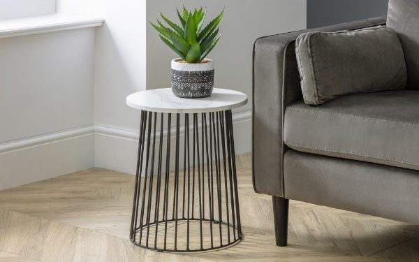Small round side table with a plant next to a gray sofa in a living room.