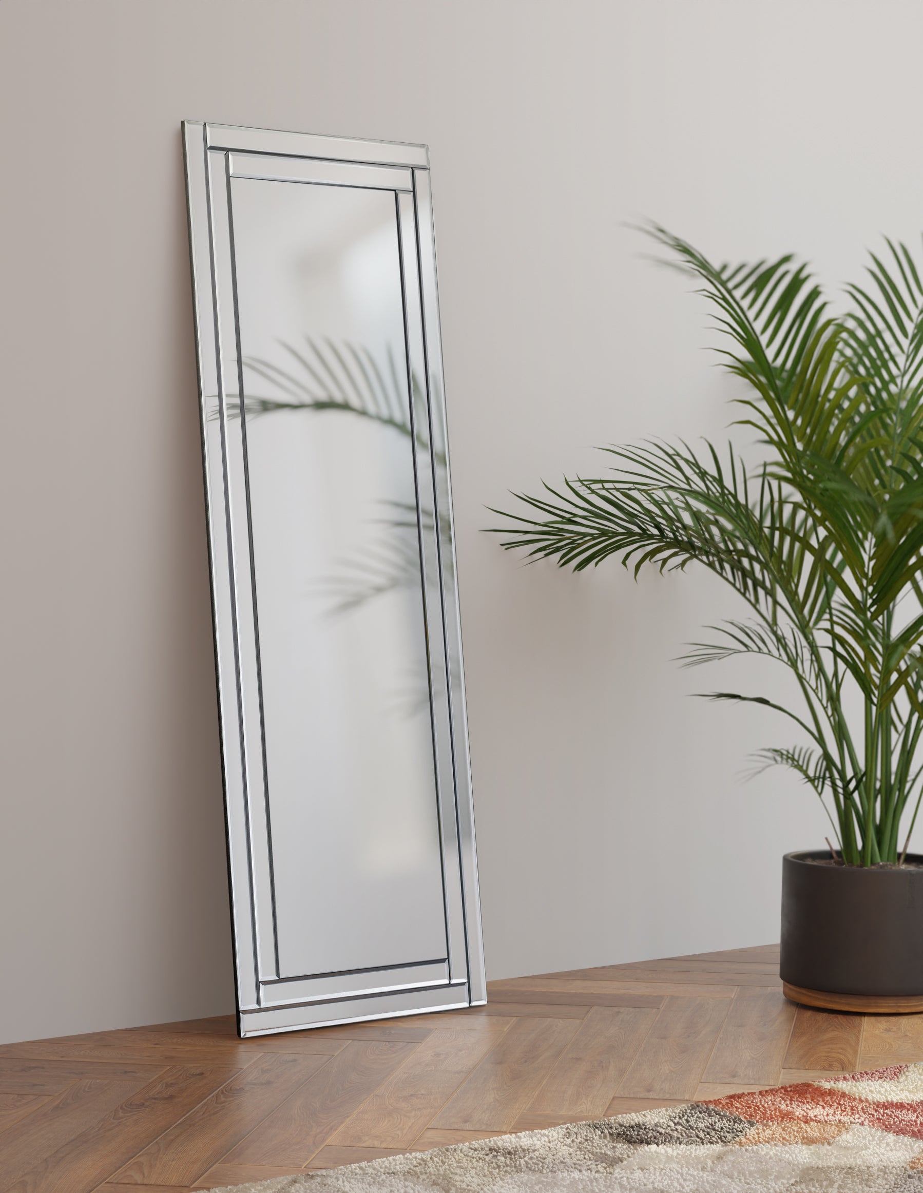 Tall mirror with decorative frame on a wooden floor next to a potted plant.