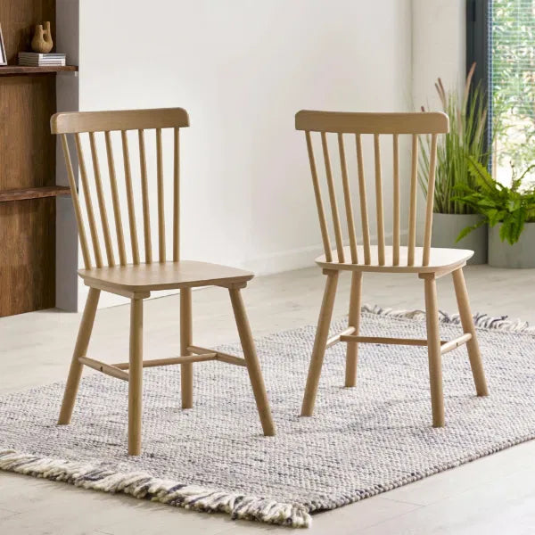 Two wooden chairs on a textured rug in a room with a plant and bookshelf.